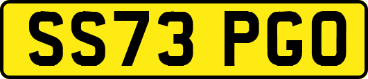SS73PGO