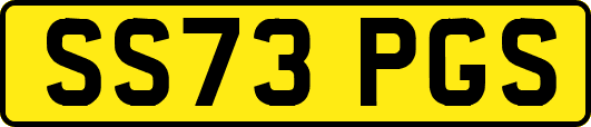 SS73PGS