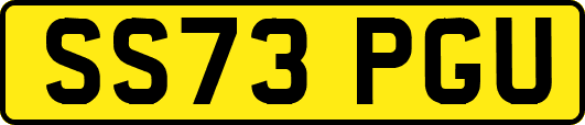 SS73PGU
