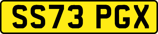 SS73PGX