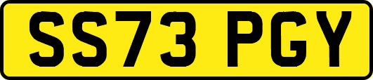 SS73PGY