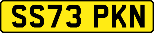 SS73PKN