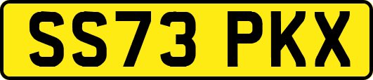 SS73PKX