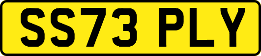 SS73PLY