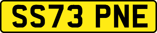SS73PNE