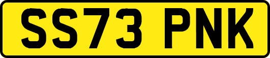 SS73PNK
