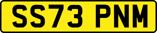 SS73PNM