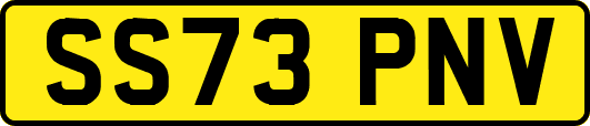 SS73PNV