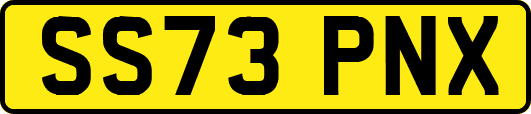 SS73PNX