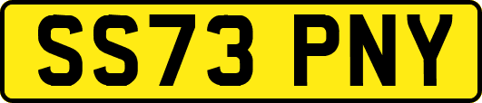 SS73PNY