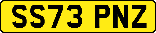 SS73PNZ