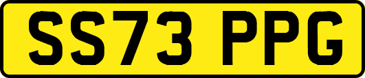 SS73PPG