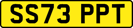 SS73PPT