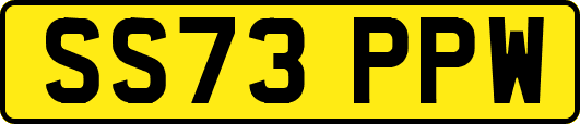 SS73PPW