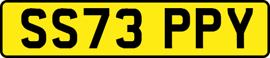 SS73PPY