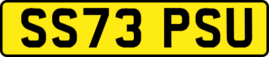 SS73PSU