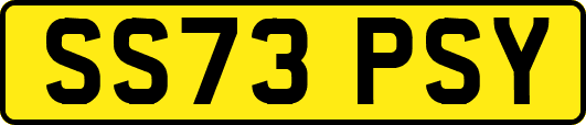 SS73PSY