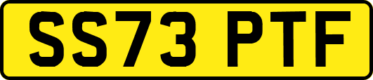 SS73PTF