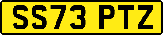 SS73PTZ