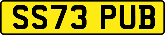 SS73PUB