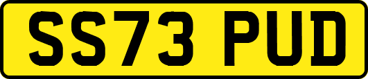 SS73PUD