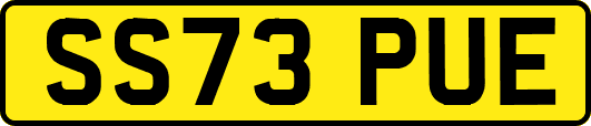 SS73PUE