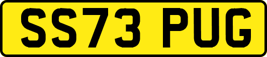 SS73PUG