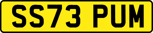SS73PUM