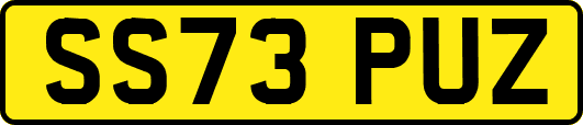 SS73PUZ