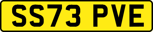SS73PVE