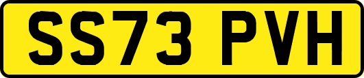 SS73PVH