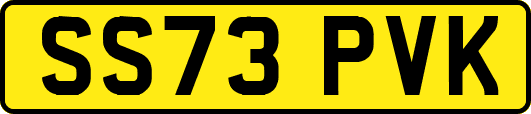 SS73PVK