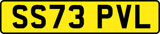 SS73PVL