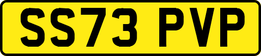 SS73PVP