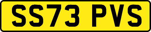 SS73PVS