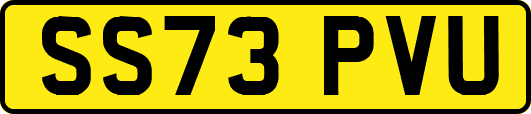 SS73PVU