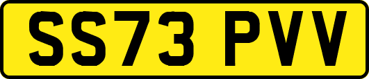SS73PVV