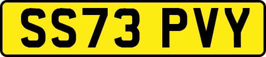 SS73PVY
