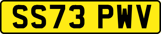 SS73PWV