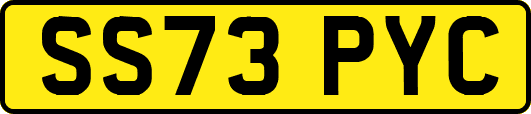 SS73PYC