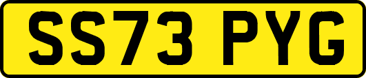SS73PYG