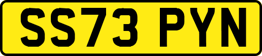 SS73PYN