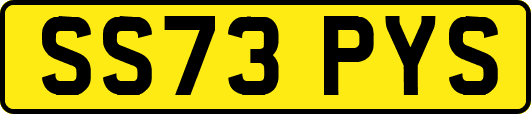 SS73PYS