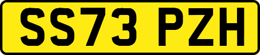 SS73PZH