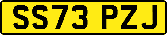 SS73PZJ