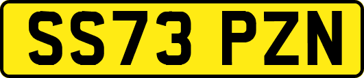 SS73PZN
