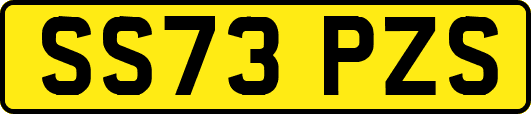 SS73PZS