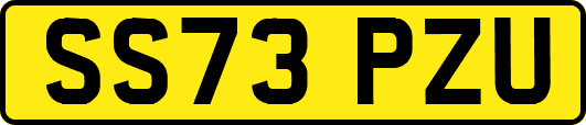 SS73PZU