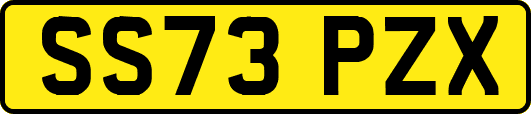 SS73PZX