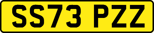SS73PZZ